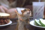 souris