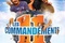 Affiche du film Les 11 commandements