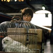 daniel radcliffe et edwige