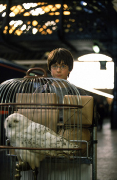 daniel radcliffe et edwige