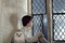 daniel radcliffe et sa chouette edwige