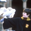 daniel radcliffe