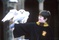 daniel radcliffe