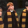 emma watson rupert grint daniel radcliffe