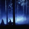 la foret interdit