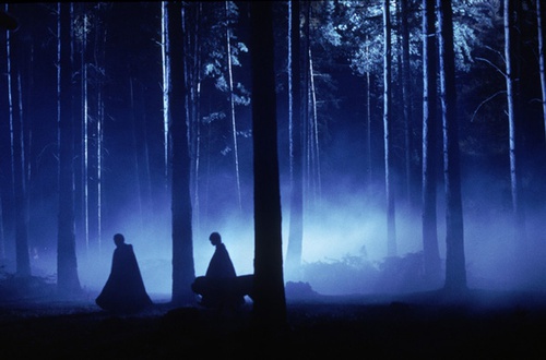la foret interdit