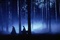 la foret interdit