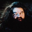 robbie coltrane alias hagrid