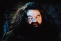 robbie coltrane alias hagrid