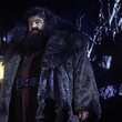 robbie coltrane