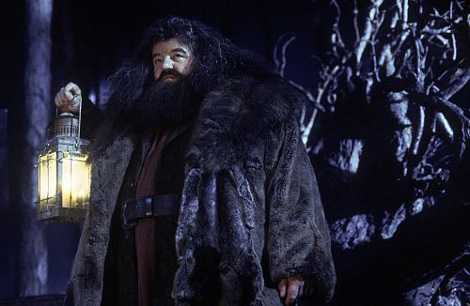 robbie coltrane