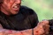 sylvester stallone 6 - John Rambo (Rambo 4)