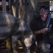 sylvester stallone 9 - John Rambo (Rambo 4)