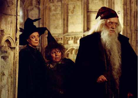 harry potter et la chambre des secrets 11 - Harry Potter et la chambre des secrets