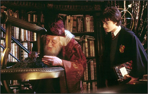harry potter et la chambre des secrets 13 - Harry Potter et la chambre des secrets