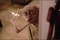 harry potter et la chambre des secrets 19 - Harry Potter et la chambre des secrets