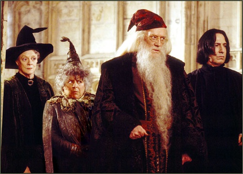 harry potter et la chambre des secrets 22 - Harry Potter et la chambre des secrets