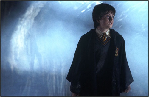 harry potter et la chambre des secrets 30 - Harry Potter et la chambre des secrets