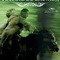Affiche du film Voleurs de chevaux - Voleurs de chevaux 