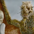 dragon - La Légende de Beowulf