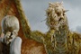 dragon - La Légende de Beowulf
