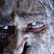 ray winstone 14 - La Légende de Beowulf
