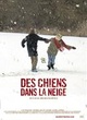 Affiche du film Des chiens dans la neige
