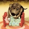 les pierres d aston - Petit à petit - Petit à petit 