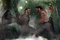 hugh jackman et liev schreiber - X-Men Origins : Wolverine