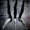 wolverine poster - X-Men Origins : Wolverine - X-Men Origins : Wolverine 