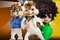 chipmunks 3 - Alvin et les Chipmunks