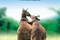 Affiche du film Les Animaux amoureux