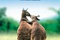 les animaux amoureux affiche - Les Animaux amoureux