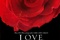 love in the time of cholera - L'Amour aux temps du choléra