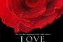 love in the time of cholera - L'Amour aux temps du choléra