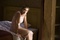 Kate Winslet songeuse