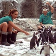 jessica alba 4 - Charlie, les filles lui disent merci