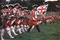 godfrey quigley - Barry Lyndon