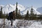 emile hirsch 2 - Into the Wild