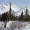 emile hirsch 2 - Into the Wild - Into the Wild 