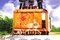 Affiche du film Garden State