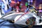 speed racer 19 - Speed Racer