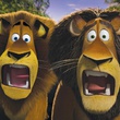 alex le lion madagascar 2