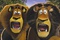 alex le lion madagascar 2