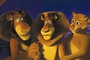 alex lion madagascar 2