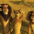alex madagascar 2