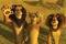 alex madagascar 2