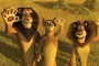 alex madagascar 2