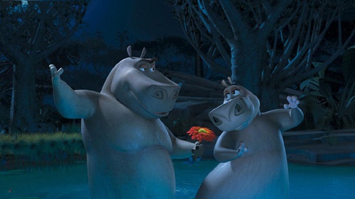 gloria hippopotame