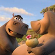 gloria l hippopotame